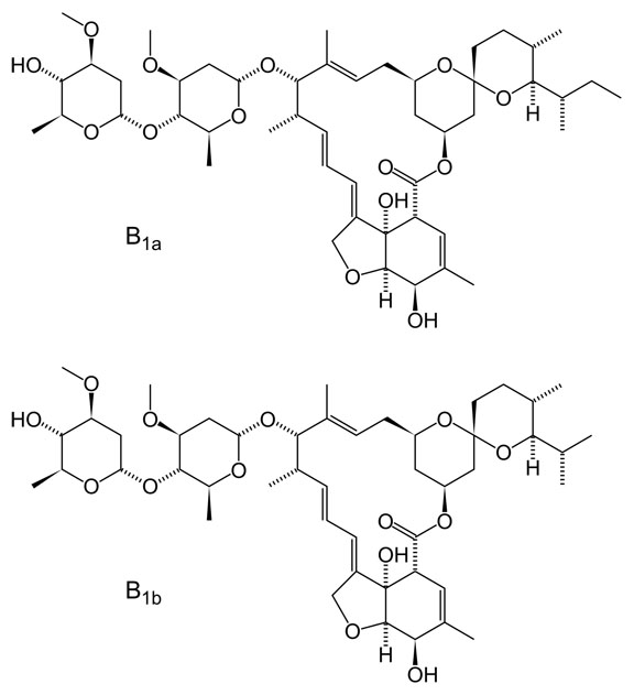 Ivermectin & Epistemology, Revisited